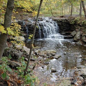 Waterfall Autumn Photograph Fall Color Colors Water Yellow Brown Green Serene Woods Forest Home Office Wall Decor Nature Autumn Photography