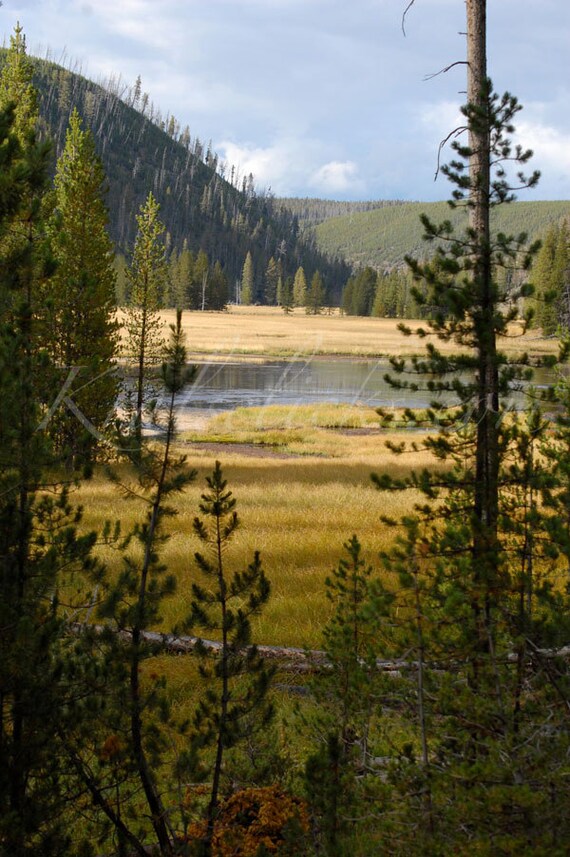 Home  Yellowstone Landscaping