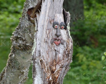 Rustic Photograph, Whimsical, Landscape Photography, Funny Face, Humor, Nature, Woods, Home Office Cabin Wall Decor, Lake Wall Art, Tree