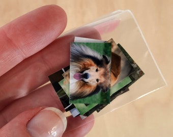 Mini Friends Photos for Fashion Dolls | Set of 12 Miniature Pet / Sports Pictures | Dollhouse Accessories | Mini Office & Papers | 1:6 Scale