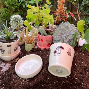 Ceramic indoor plant pot with saucer (2 pieces)