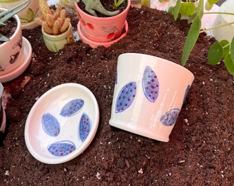 Ceramic indoor plant pot with saucer (2 pieces)