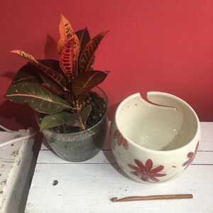 Puede incluir: Una maceta de cer&aacute;mica blanca con dise&ntilde;os florales rojos, una planta verde con hojas rojas y amarillas en una maceta de vidrio transparente y un gancho de ganchillo de madera sobre una superficie de madera blanca.