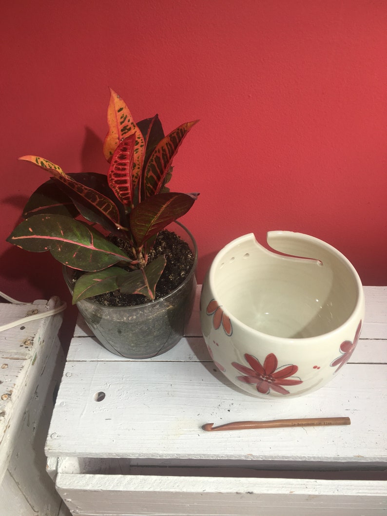 Puede incluir: Una maceta de cer&aacute;mica blanca con dise&ntilde;os florales rojos, una planta verde con hojas rojas y amarillas en una maceta de vidrio transparente y un gancho de ganchillo de madera sobre una superficie de madera blanca.