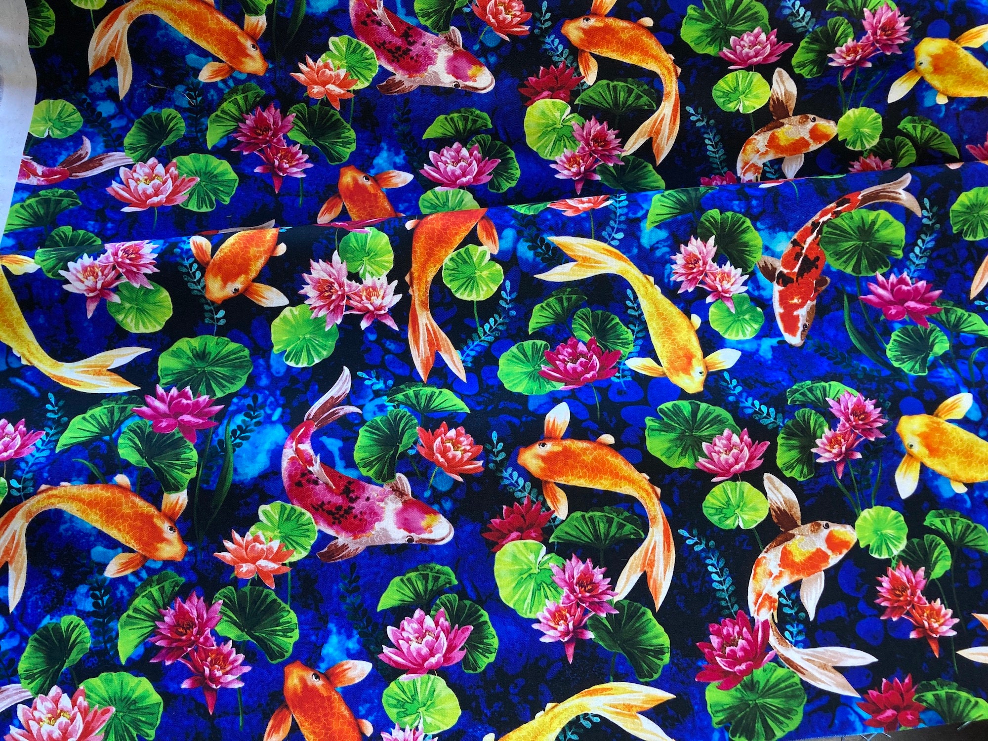 Exotic koi fish sales