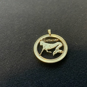 Capricorn 14k Gold Plated Pendant with complimentary chain