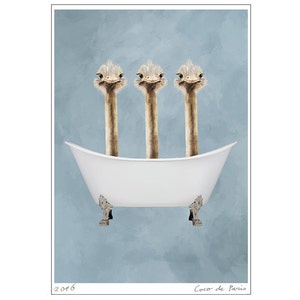 Ostrich Print, bathtub print, Funny Ostriches Artwork, Ostrich Illustration, Coco de Paris, 3 ostriches in Bathtub