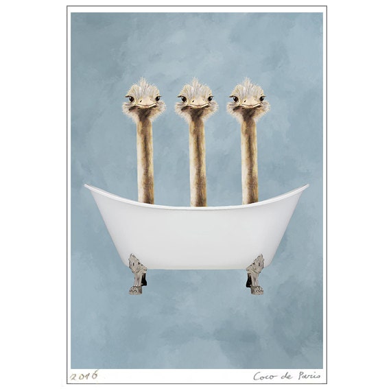 Impression Dautruche Imprimé Baignoire Funny Autruches Artwork Autruche Illustration Coco De Paris 3 Autruches En Baignoire