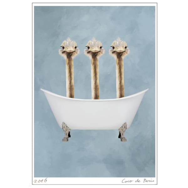 Ostrich Print, bathtub print, Funny Ostriches Artwork, Ostrich Illustration, Coco de Paris, 3 ostriches in Bathtub