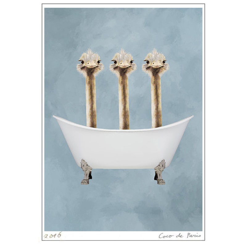 Ostrich Print, bathtub print, Funny Ostriches Artwork, Ostrich Illustration, Coco de Paris, 3 ostriches in Bathtub image 1