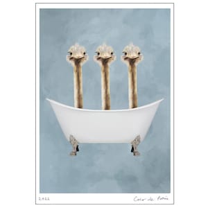 Ostrich Print, bathtub print, Funny Ostriches Artwork, Ostrich Illustration, Coco de Paris, 3 ostriches in Bathtub