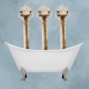 Ostrich Print, bathtub print, Funny Ostriches Artwork, Ostrich Illustration, Coco de Paris, 3 ostriches in Bathtub image 4