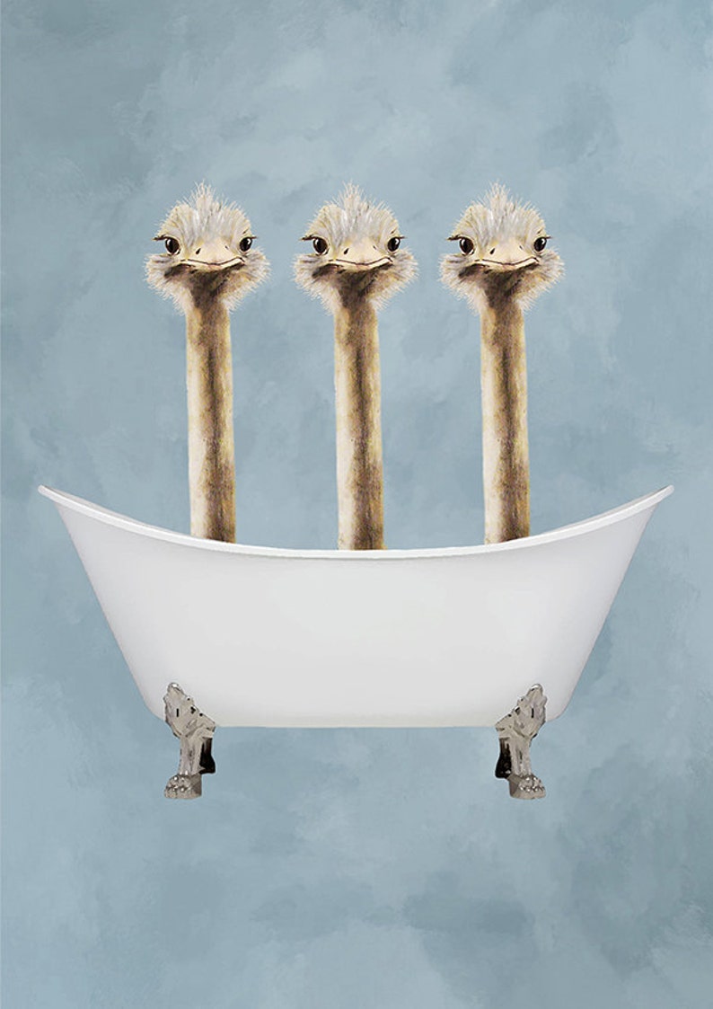 Ostrich Print, bathtub print, Funny Ostriches Artwork, Ostrich Illustration, Coco de Paris, 3 ostriches in Bathtub image 4