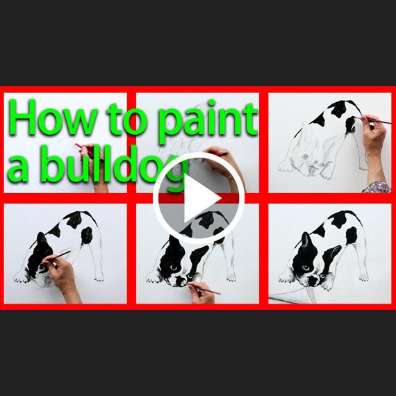 CAT VS PRINT ORIGINAL visual data 8