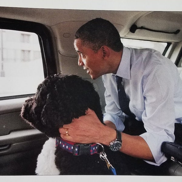 President Obama with Bo photograph by Pete Souza