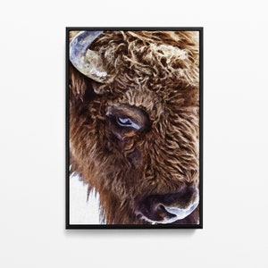 Buffalo Watercolor Print | Bison Art | Wildlife painting | Buffalo Closeup | Western Decor | Living Room Wall Art