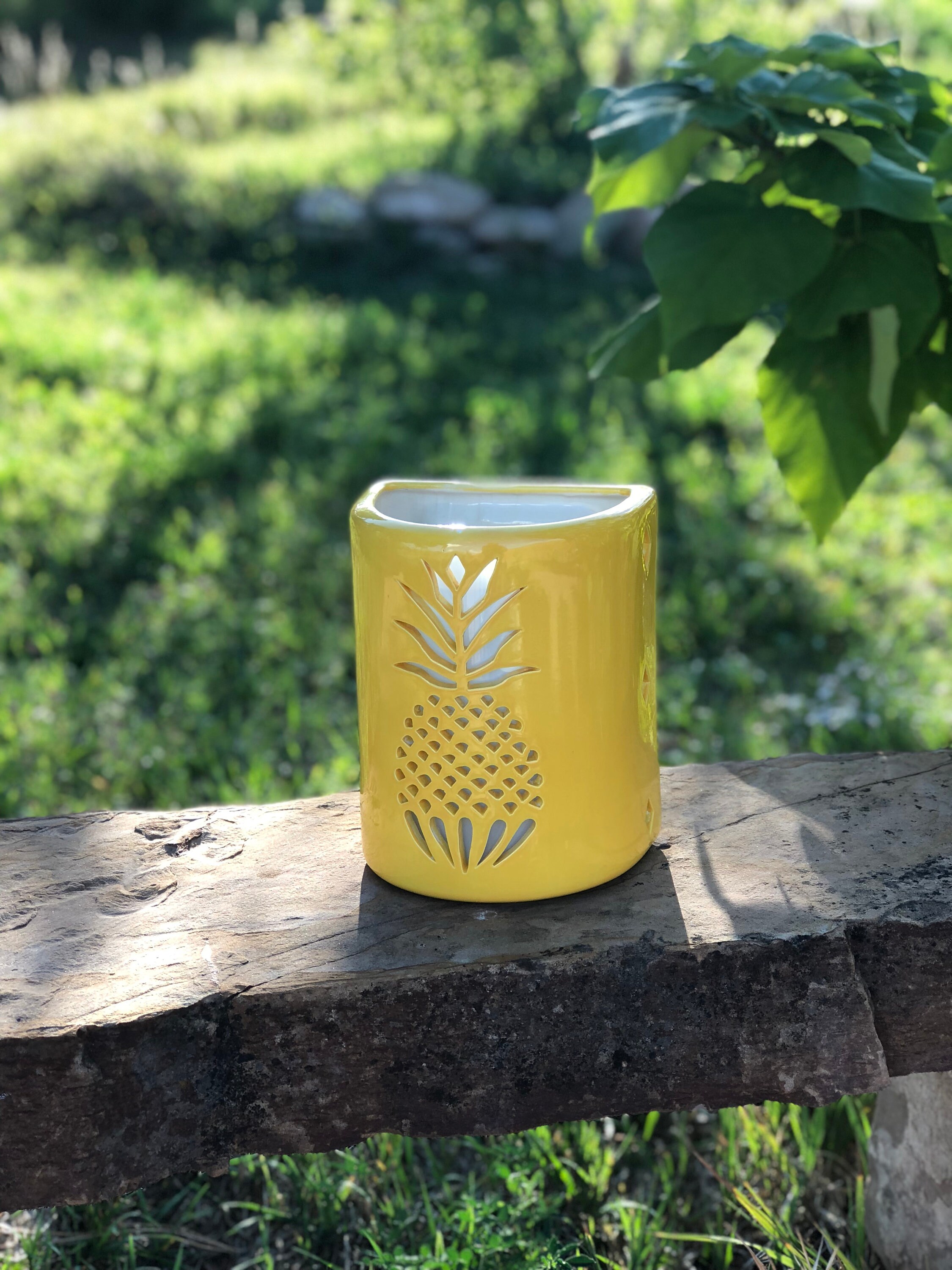 pineapple sconces outdoor