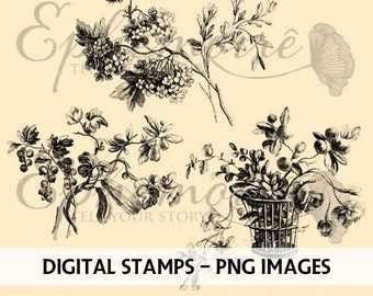 DIGITAL STAMPS Flower #1- Digi Stamp Ornaments - Digital Stamps - 2 PNGs - Digi Stamps - Digital Illustration - Adult Coloring - Line Art