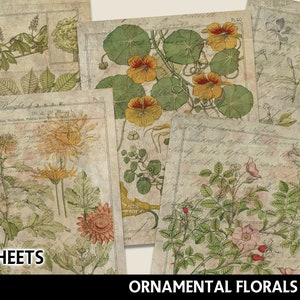 Pacchetto carta digitale, carte stampabili botaniche, album digitale, creazione di cartoline, carte floreali, carte floreali stampabili, note sul campo