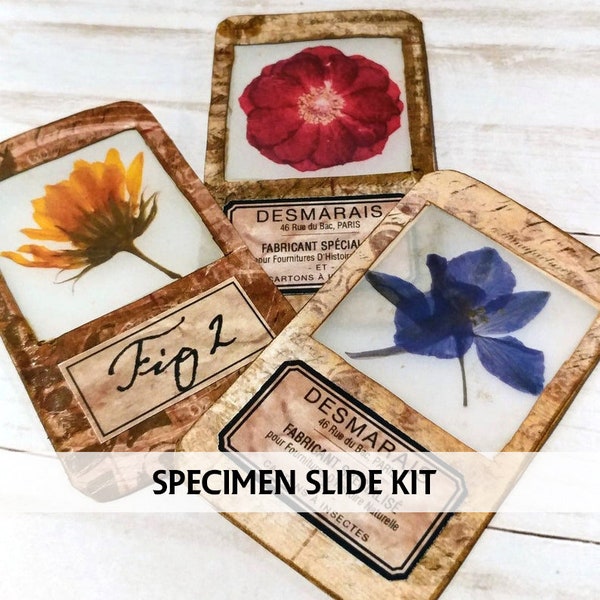 BOTANICAL Specimen Slides - Altoid Tin Craft Kit - Natural History Slides - Floral Specimen Slides Printable Kit - Cardmaking Elements