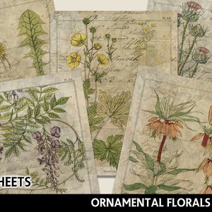 Pacchetto carta digitale, carte stampabili botaniche, album digitale, creazione di cartoline, carte floreali, carte floreali stampabili, note sul campo