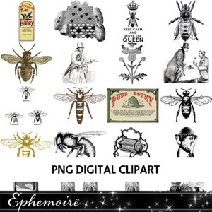 Digital Clipart Images - BEE CLIPART - Apiary - Cardmaking Images - Printable Bee Ephemera - Digital BEE Clipart Illustrations - Download