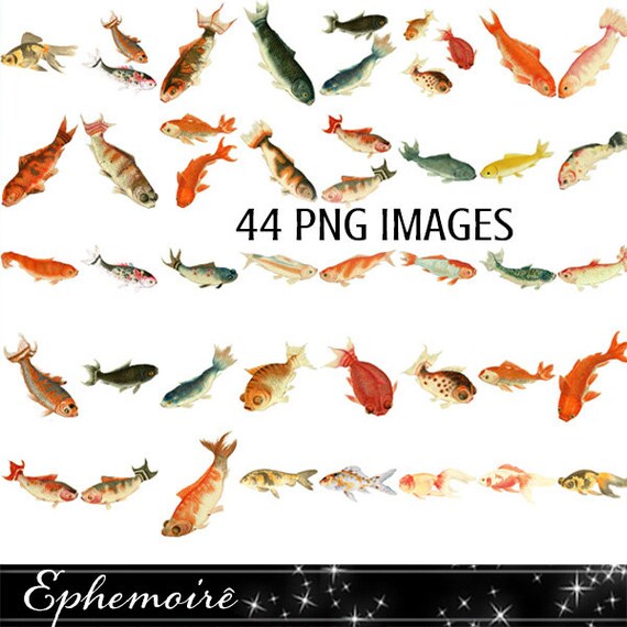 Clipart Koi Fish Digital Images Goldfish Koi Clip Art Etsy