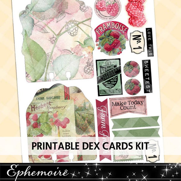 Digital Printable Dex Cards - Printable Crafts - Collage Sheet - Printable DEX Card - Journal Printable - Raspberry - Paper Crafting Kit