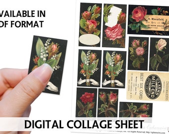 Junk Journal Printable - SHABBY CHIC ROSES - Digital Scrapbooking - Cardmaking Images - Roses Digital Clipart - Fussy Cut Shabby Ephemera