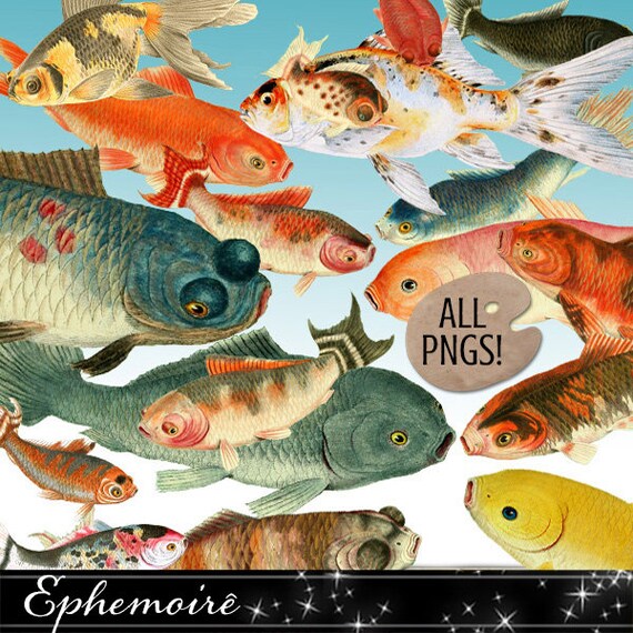 Clipart Koi Fish Digital Images Goldfish Koi Clip Art Etsy
