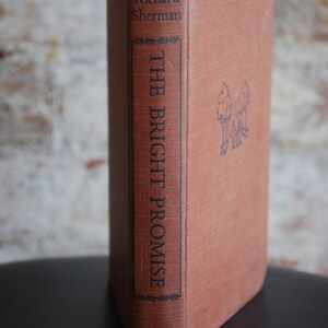 Vintage Fiction Book, The Bright Promise