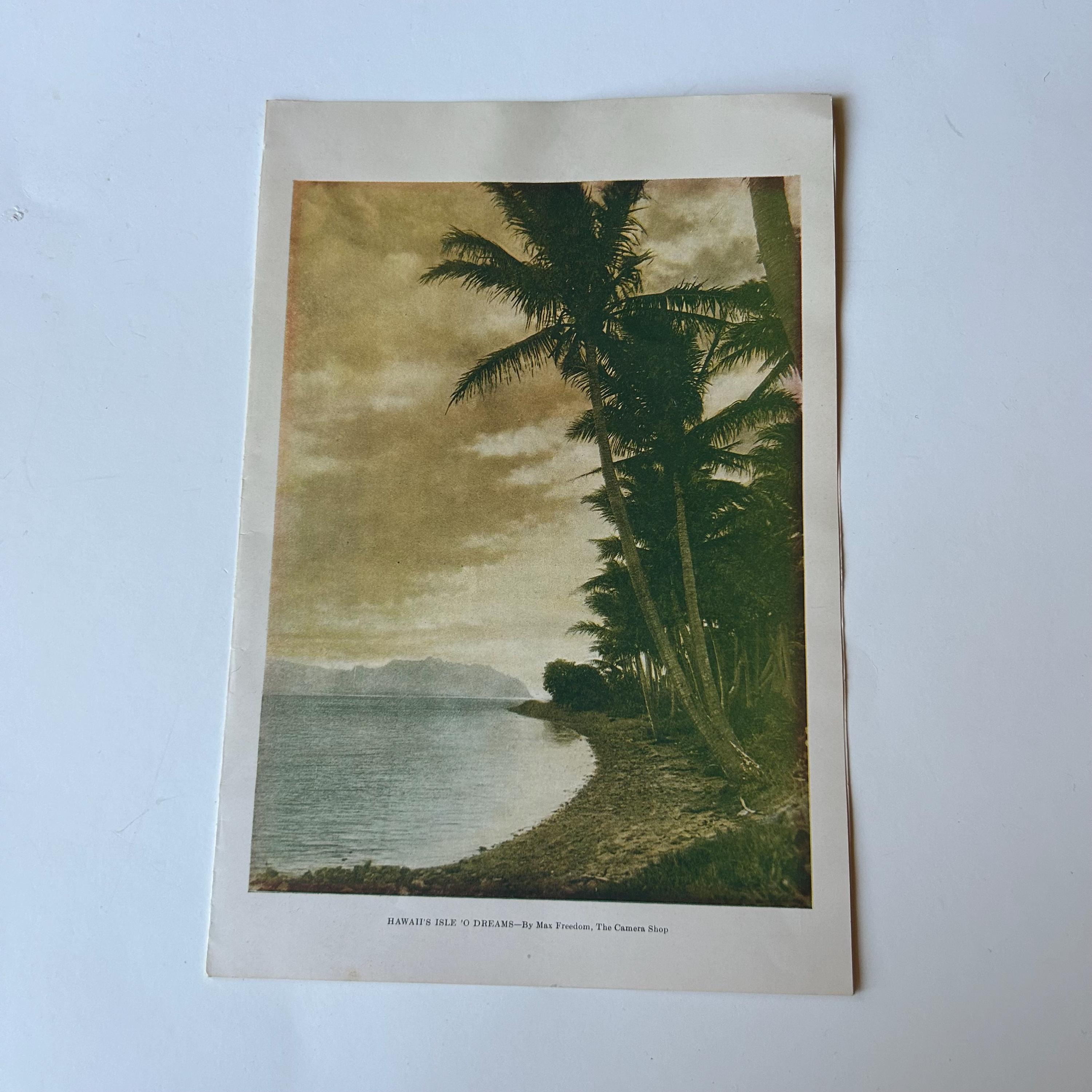 Hawaiian Menu Art - Etsy