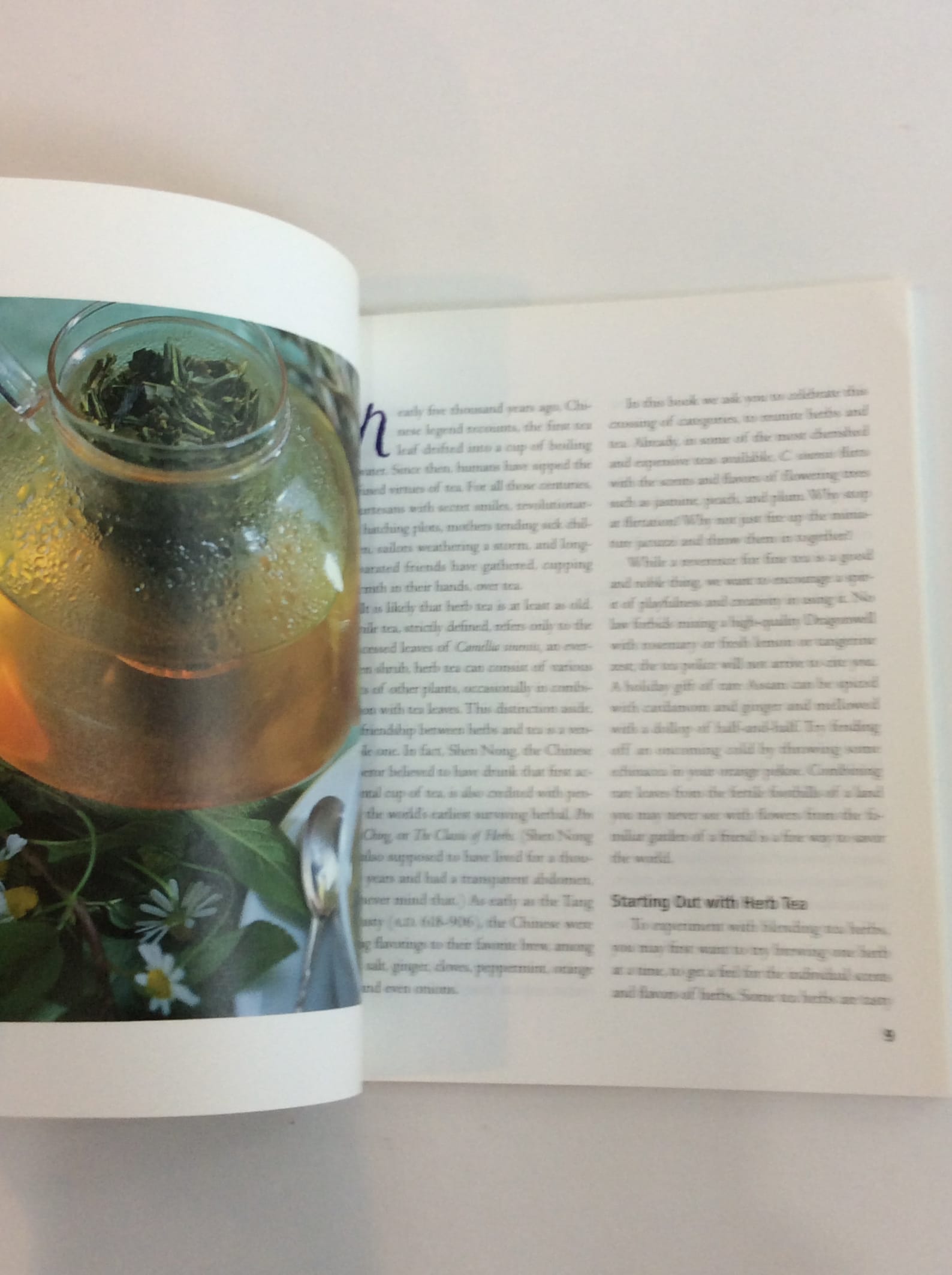 Vintage Book the Herb Tea Book - Etsy Singapore