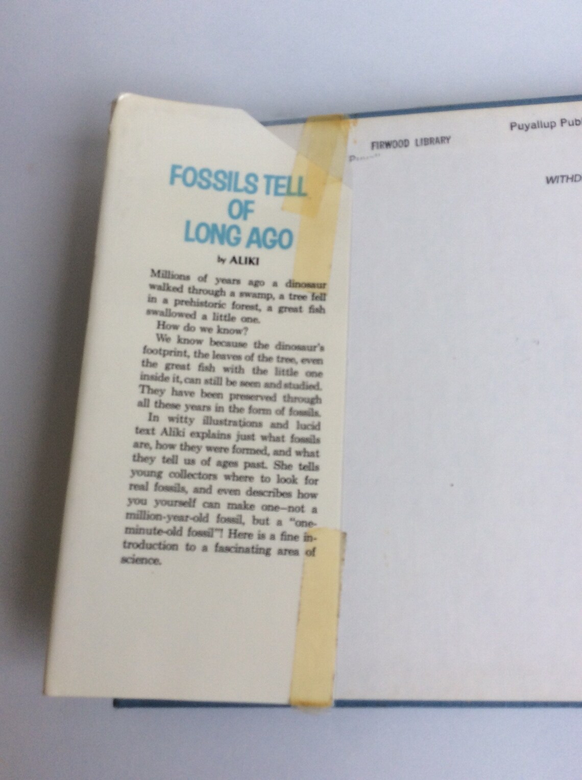 Vintage Children's Book Fossils Tell of Long Ago Etsy