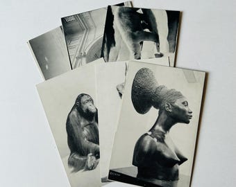 Vintage Collection of Chicago Natural History Museum Postcards in Black and White