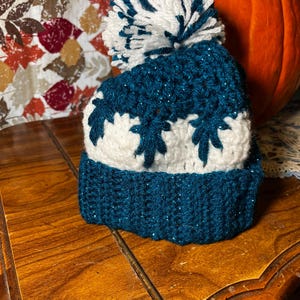 Crochet Winter Beanie