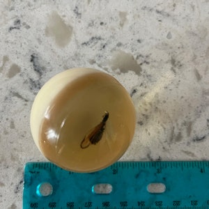 Vintage lucite fly fish shift knob fits old Harley and Indian shift levers/gift bag