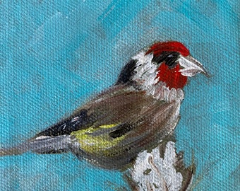 Bird art, detailed painting, charming red and brown bird,  4” x 4” stretched canvas, sturdy wood back ,unframed, moisture proof varnish