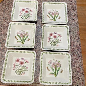 6 Portmeirion Botanic Garden 18 cm quadratische Schalen