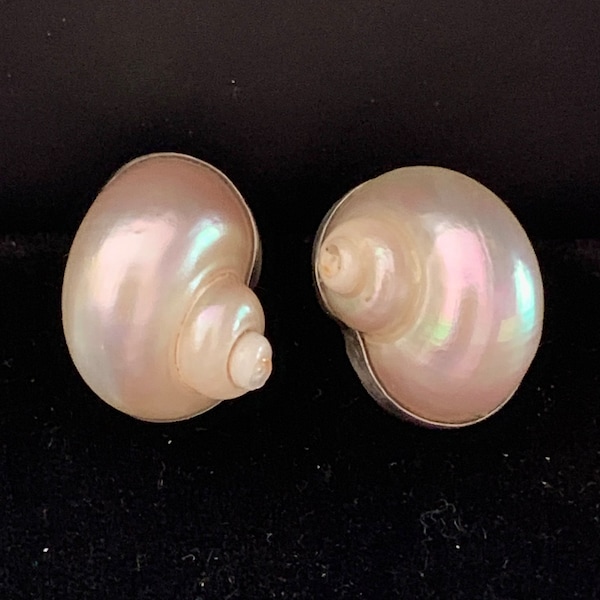 Betsy Fuller Designer Signed Mother of Pearl Sterling Sea shell earrings