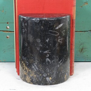 Black Polished Stone Orthoceras Fossil Bookend
