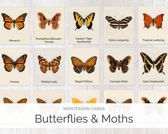 Butterflies & Moths Mega Pack | Montessori Cards | Montessori Education | Homeschool