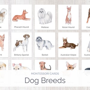 Dogs | Montessori Cards | Montessori Education | Homeschool