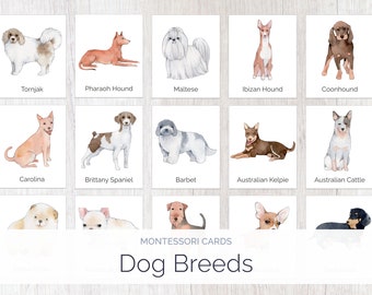 Dogs | Montessori Cards | Montessori Education | Homeschool