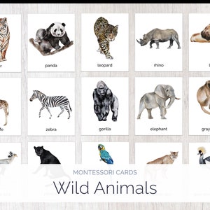 Animaux sauvages | Cartes Montessori | Animaux de safari | Éducation Montessori | École à la maison