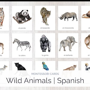 Animales Salvajes / Tarjetas Montessori Españolas / Animales Safari / Educación Montessori / Aprendizaje Temprano