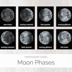 Moon Phases | Montessori Cards | Montessori Education | Homeschool