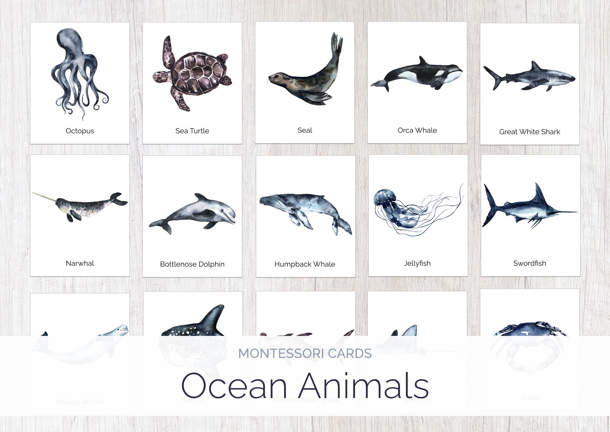 Ocean Animals | Montessori Cards | Montessori Education | Homeschool - Etsy