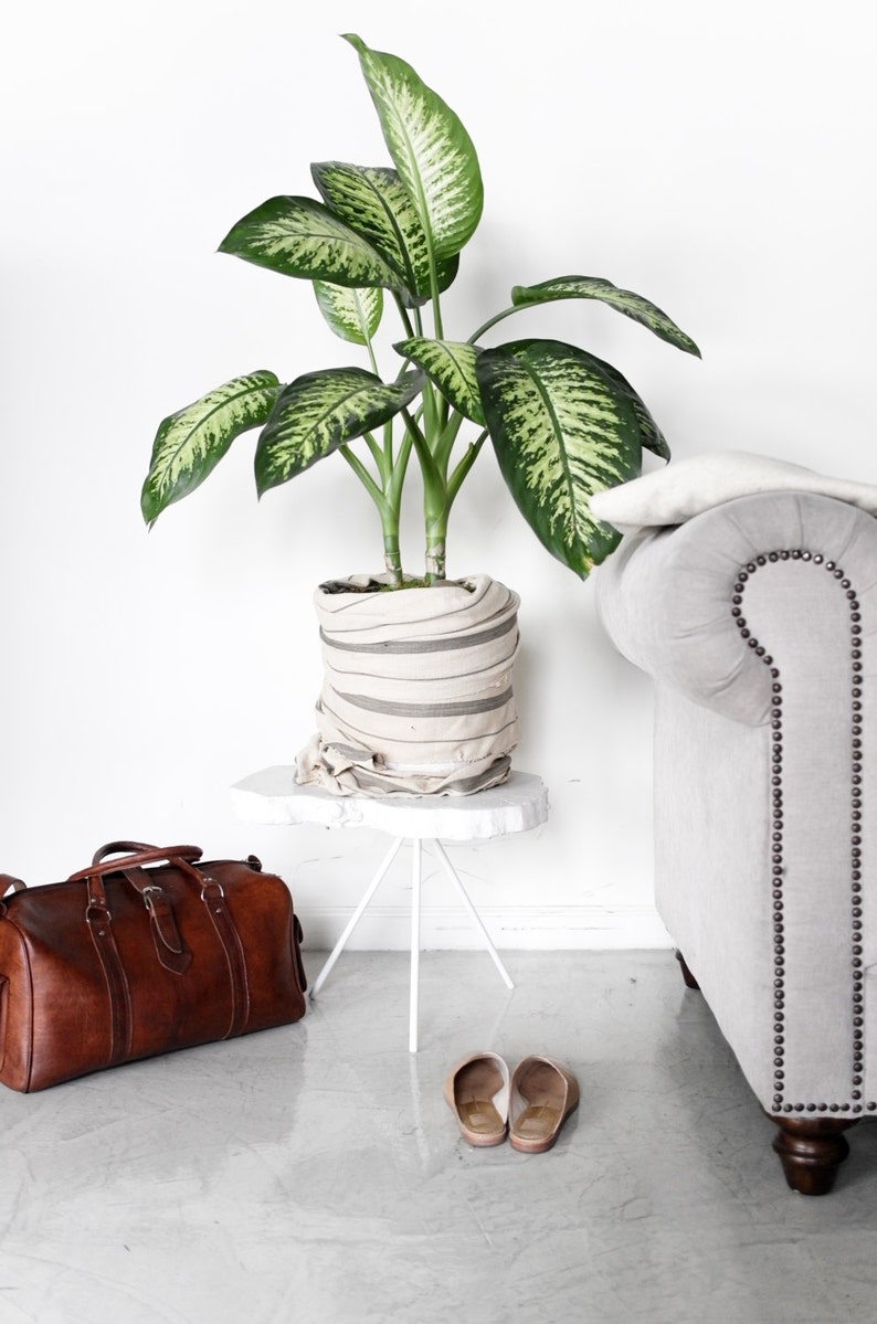 Concrete end table live edge wood slice table concrete table Etsy