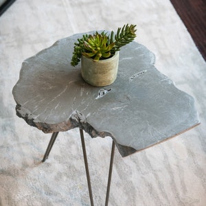May include: A gray concrete table with a live edge top and three hairpin legs. A small potted succulent plant sits on the table.